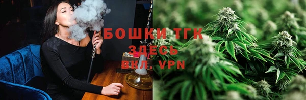 spice Алзамай