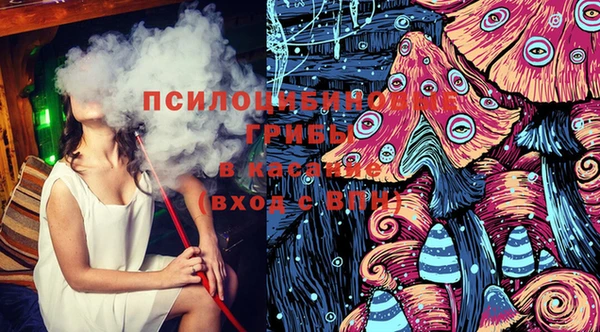 spice Алзамай