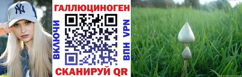 наркота  Муром  Галлюциногенные грибы мицелий 