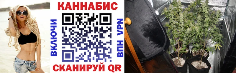 гидра   Муром  Канабис индика 